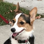 Larry Ferris - @larry.ferris - Instagram