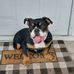 Larry Fetter - Facebook