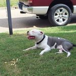 Larry Flagg - @larry.flagg.35 - Instagram