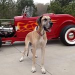 Larry Flagg - @jsznzd4629 - Instagram