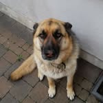 Larry O Reilly - @larryforty - Instagram