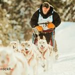 Larry Fortier - @larry_fortier - Instagram