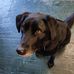 Laurie Frampton - Facebook