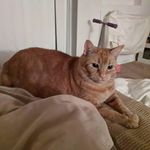 Larry D Fraser - @larrydfraser - Instagram