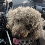 Larry Fraser - @fraser9306 - Instagram