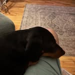 Friday Larry - @fridaylarry85 - Instagram