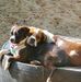 Larry Gaffney - Facebook