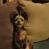 Larry Gandy - @larry.gandy0 - TikTok