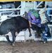 Larry Gandy Jr. Professional BullFighter - Facebook