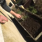 @diegartenlarrys - Instagram