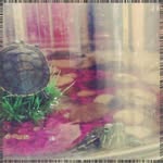 Larry Geddes - @joycefetzerien - Instagram