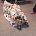 Larry Geiser - @larry_geiser - Instagram