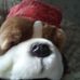 Larry St. Germain - Facebook