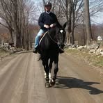 Larry Gershman - Facebook