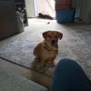 Larry Gatts - @larry.gatts6 - TikTok