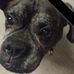 Larry Gilson - Facebook