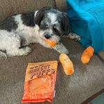 Larry Girard - @larry_girard66 - Instagram