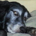 Larry Glaser - @larry2theg - Instagram