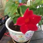 Larry Glidden - @rustyglidden1941 - Instagram