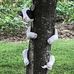 Larry Claudia Grady - Facebook