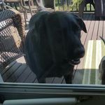 Larry Grady - @mr_larry_the_bear_grady - Instagram