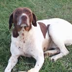 Larry Gragg - Facebook