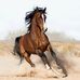 Larry Grainger - Facebook
