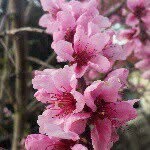 Larry Grayson - @larry.grayson - Instagram