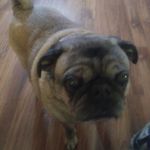 Larry Greathouse - @larry.greathouse.50 - Instagram