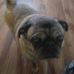 Larry Greathouse - Facebook