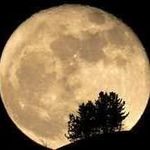 Larry Grimm - @larry.grimm.58 - Instagram