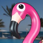 Larry Billy Bob Grover Rover - @just.your.average.flamingo - Instagram