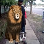 Larry Grover - @larry_grover_ - Instagram