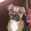 larry.haagbernadette - @larry.haagbernade - TikTok
