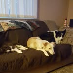 Larry Hafer - @hafer136136 - Instagram
