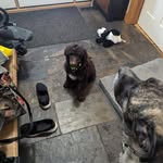Larry Hafermehl - @larryhafermehl - Instagram