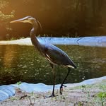 Larry Hagerman - @lhagerman01 - Instagram