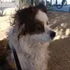 Larry Hagerman - @larry.hagerman - TikTok