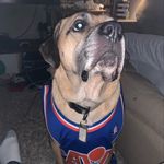 Larry Hamer - @larrybou62 - Instagram