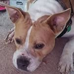 Larry Hammons - @larry.hammons - Instagram