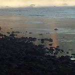 Larry Hanlon - @hanlon_larry - Instagram