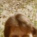 Larry Hanlon - Facebook