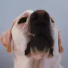 Harbour🎾 - @harbour.larry - TikTok