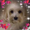 Larry Harold - @larry.harold - TikTok
