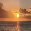 Larry Harrow - @larry.harrow - TikTok