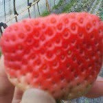 @larry_harry - Instagram
