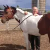 Larry Haskell - @larryhaskell - TikTok