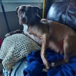Larry Hass - @kevin.hass.9421 - Instagram