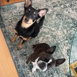 Larry & Hazel - @larry_bananas_hazel_nuts - Instagram
