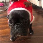 larry/hazel - @thegoatedlarry - Instagram